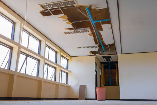 Best 24/7 water damage repair  in Siesta Key, FL