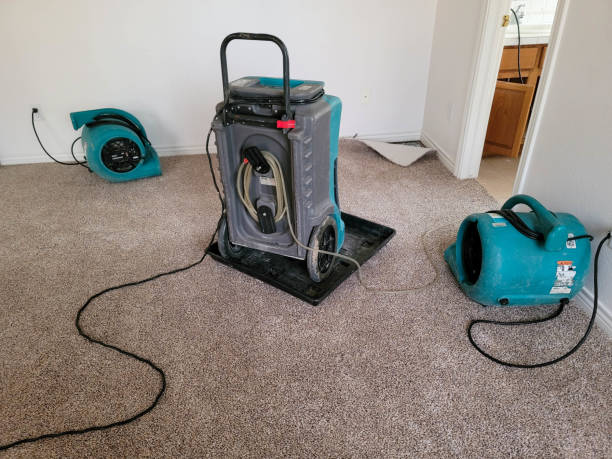 Best 24-hour water damage restoration  in Siesta Key, FL