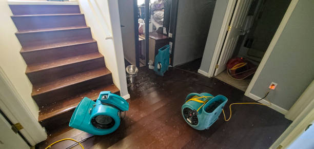 Best Water damage restoration insurance claims  in Siesta Key, FL