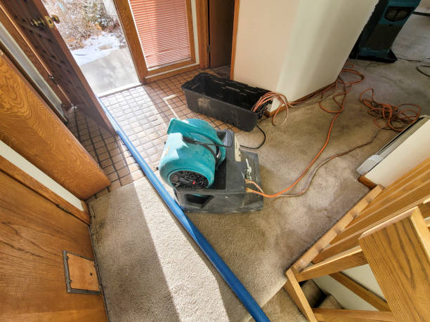 Sewage cleanup and water damage restoration in FL