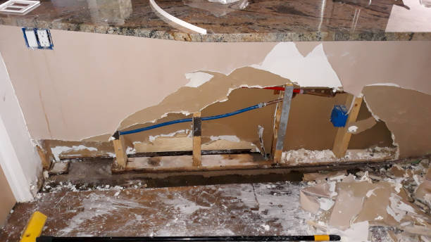 Best Flood restoration services  in Siesta Key, FL