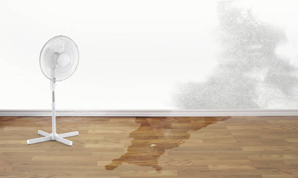 Best Emergency water damage restoration  in Siesta Key, FL