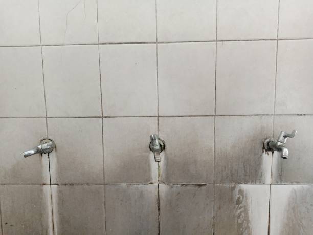 Best Carpet water damage restoration  in Siesta Key, FL