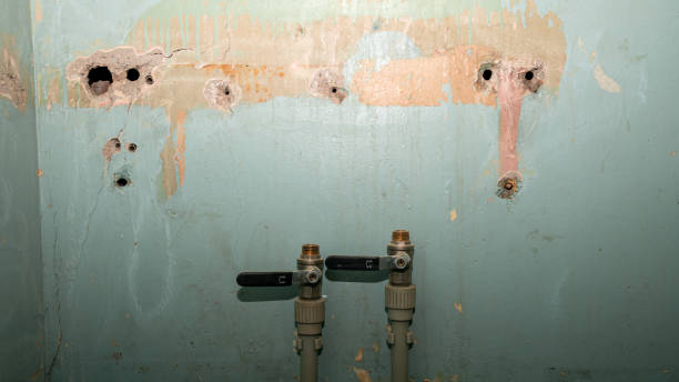 Best Flooded house restoration  in Siesta Key, FL