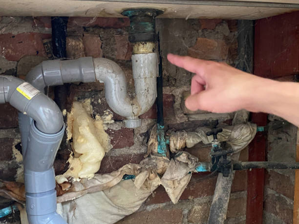 Best Emergency water extraction  in Siesta Key, FL