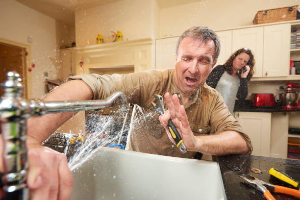 Best Residential water damage restoration  in Siesta Key, FL